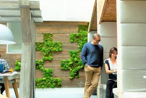 Colleagues talking beside the planted wall in a breakout area